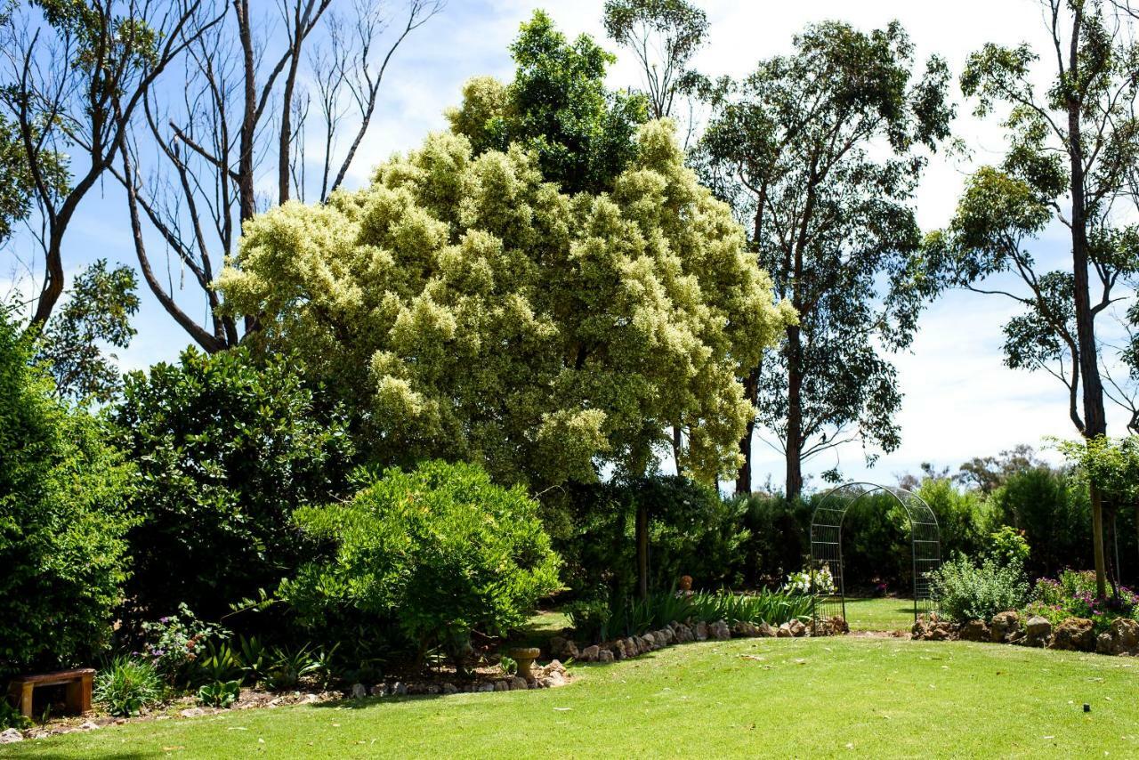 Fairlawn Estate Guest House Busselton Exterior photo